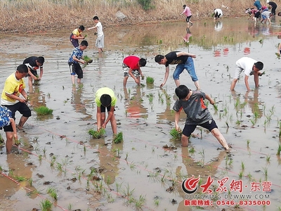 2018首屆中國黃河口大地文化藝術(shù)節(jié)插秧節(jié)盛大開幕，有機稻谷種植研發(fā)引領(lǐng)綠色農(nóng)業(yè)新篇章