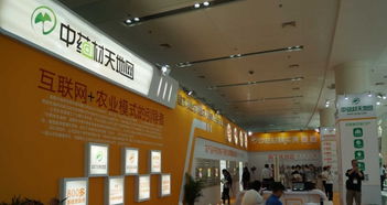 匠心筑展，茶韻飄香 福州展覽搭建工廠的一站式專業(yè)服務(wù)